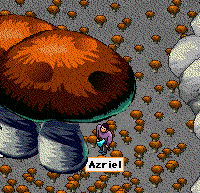 azriel_mushroom.gif