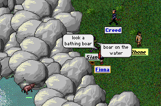 bathing_boar.gif