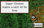 nest_chicken.530.gif