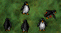 fivepenguins.gif