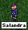 salandra.gif