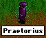 praetorius_xar.gif