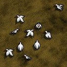 chickeninvasion_small.jpg