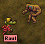 raul_vs_orga.jpg