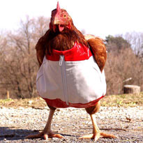 super_chicken_clothing.jpg