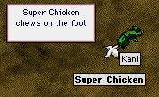 superchicken_chews.gif