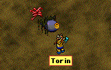 torin_7th_test.gif