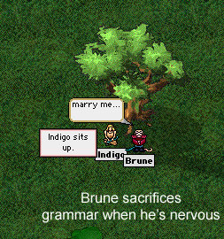 brunesproposal-1.jpg