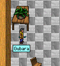 gubara.gif