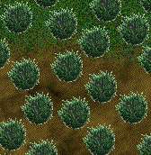 kudzu-crop.gif