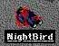 nightbirdfallen.jpg