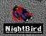 nightbirdfallen.jpg