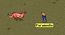 paraonrunfromwyrm.gif