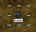 brandon.gif