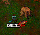 kallisto_winks.png