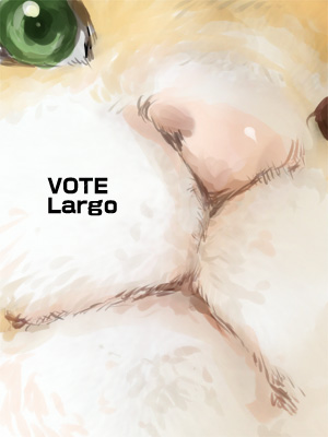 votelargo.jpg