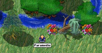 para_flowers_creek.jpg