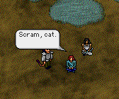 scram_cat.gif