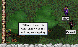 mittens2.gif