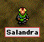 salandra-new.jpg