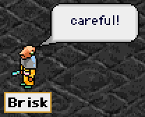 brisk.png