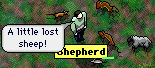 shepherdandsheep.gif