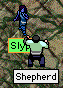 slyphshepherd1.gif