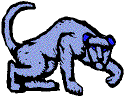 panther